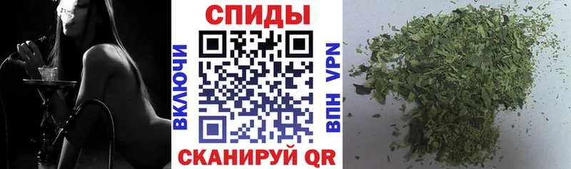 магазин продажи   мега вход  БУТИРАТ буратино  Злынка 