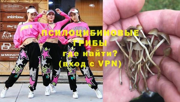 кокс Алексеевка
